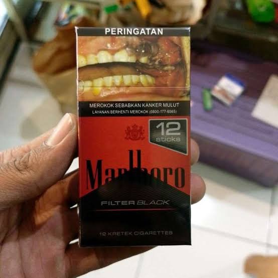 malboro filter black 12