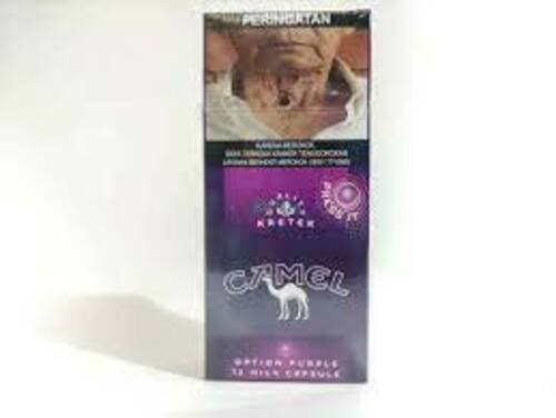 CAMEL PURPLE12